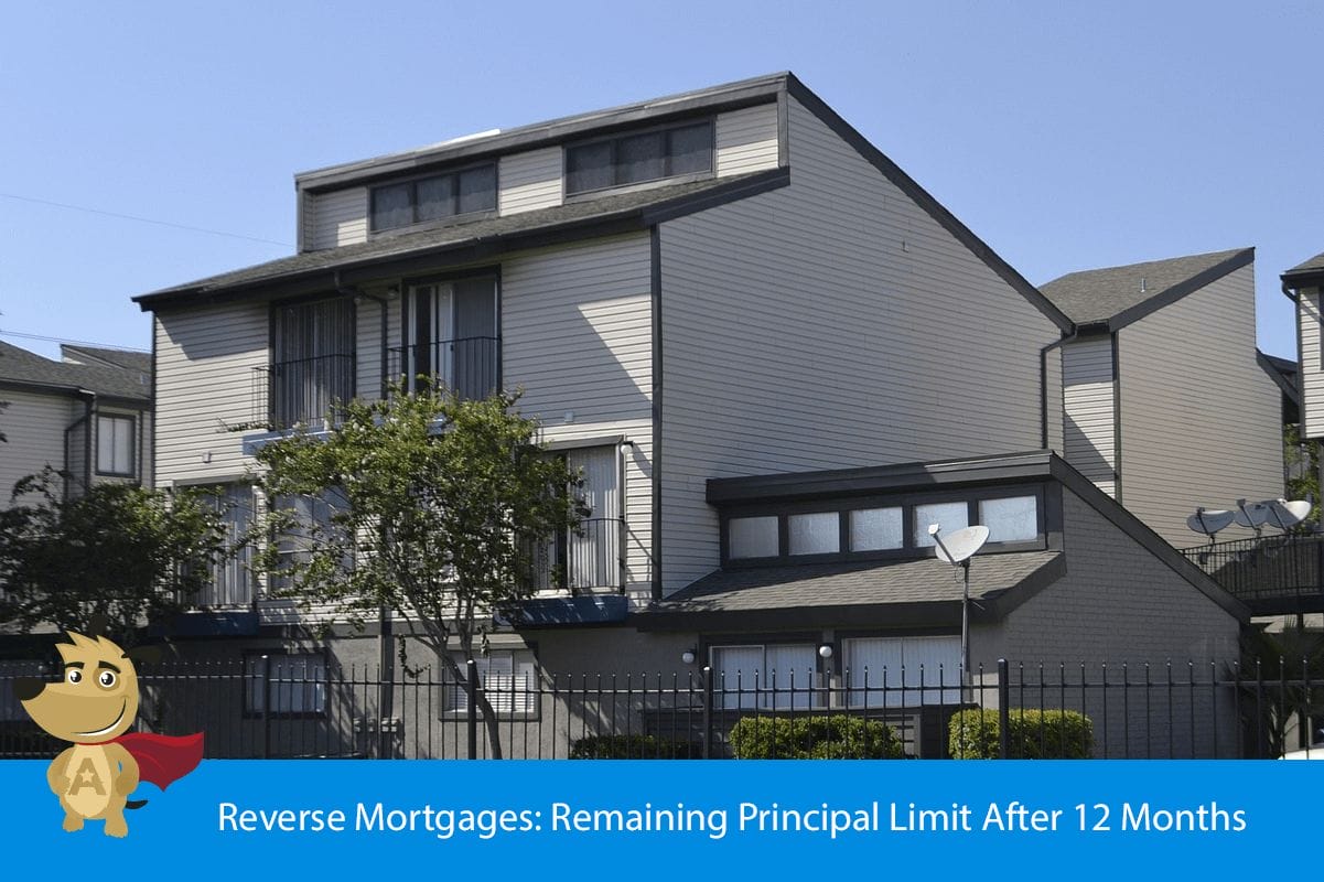 Reverse Mortgages: Remaining Principal Limit After 12 Months