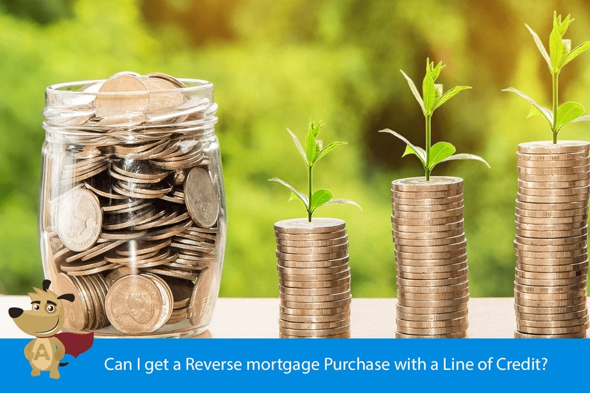 Can I get a Reverse mortgage Purchase with a Line of Credit?