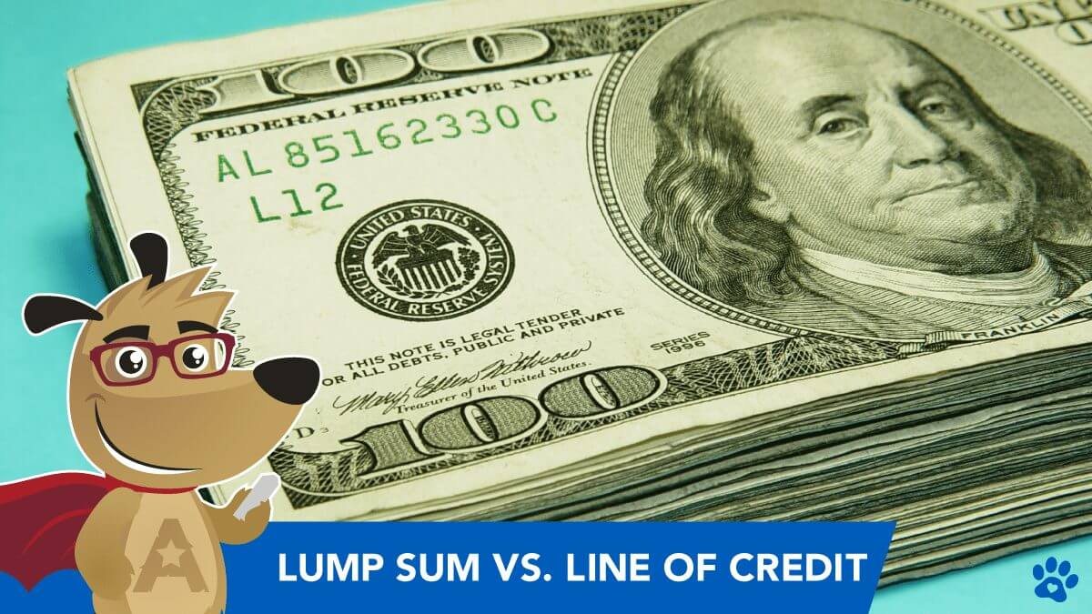 Reverse Mortgage Types: Lump Sum Payout -VS- Line of Credit