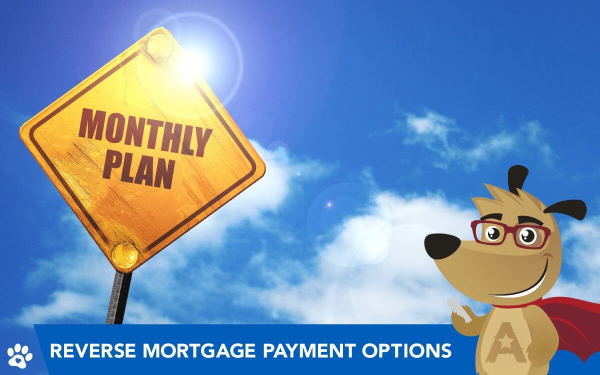 ARLO teaching tenure plan