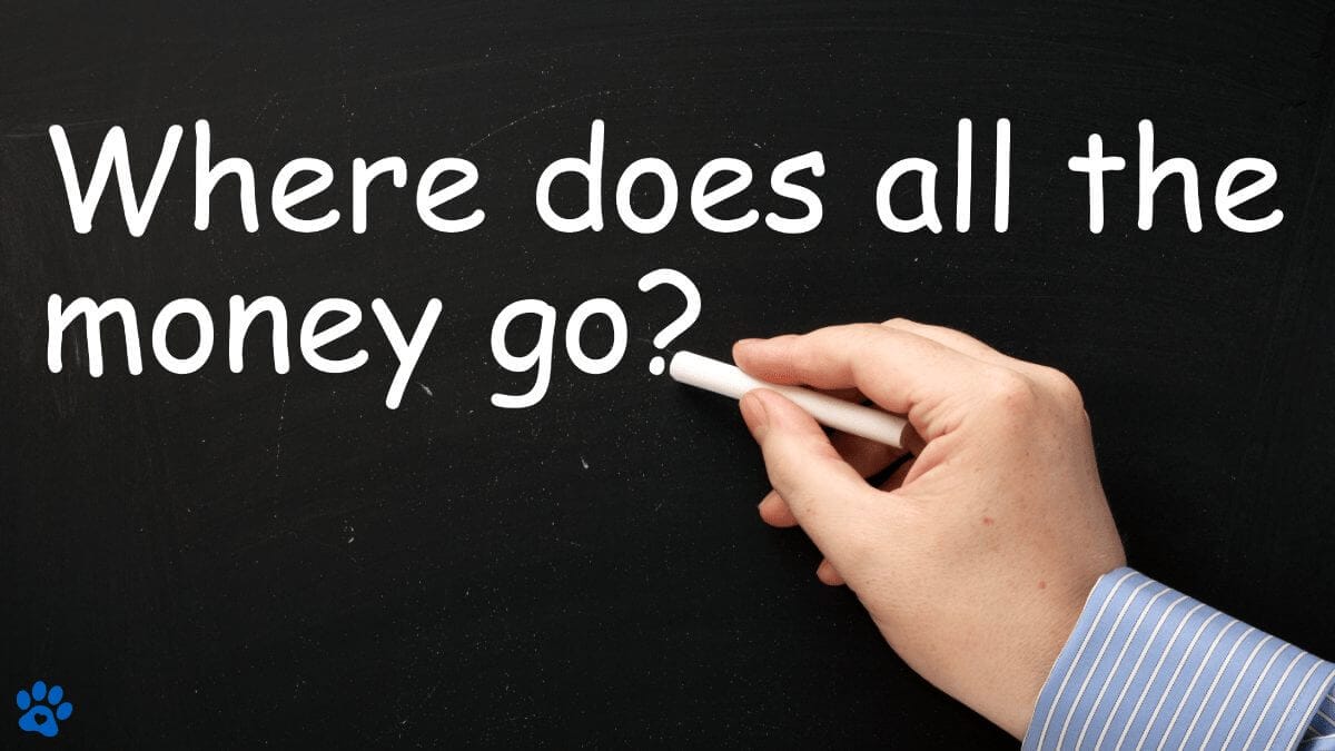 Where does all the money go?