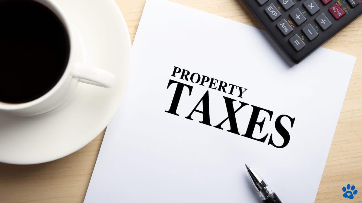 property taxes