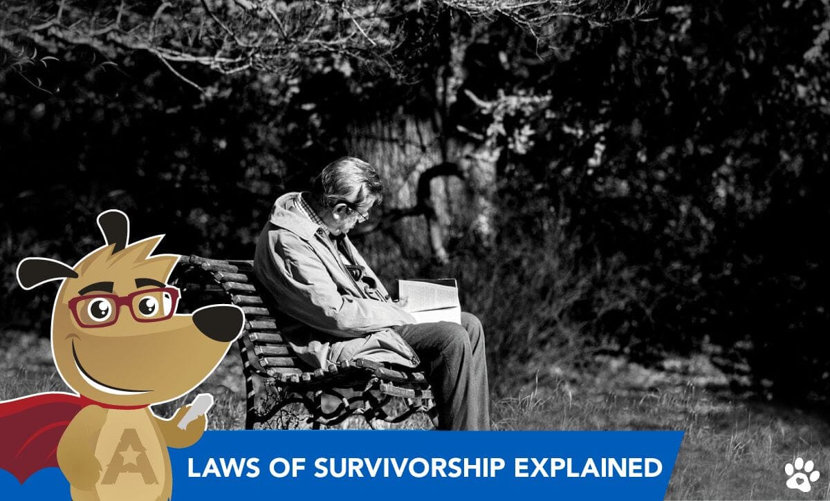 Reverse Mortgage Attorney Asks: Laws of Survivorship Explained